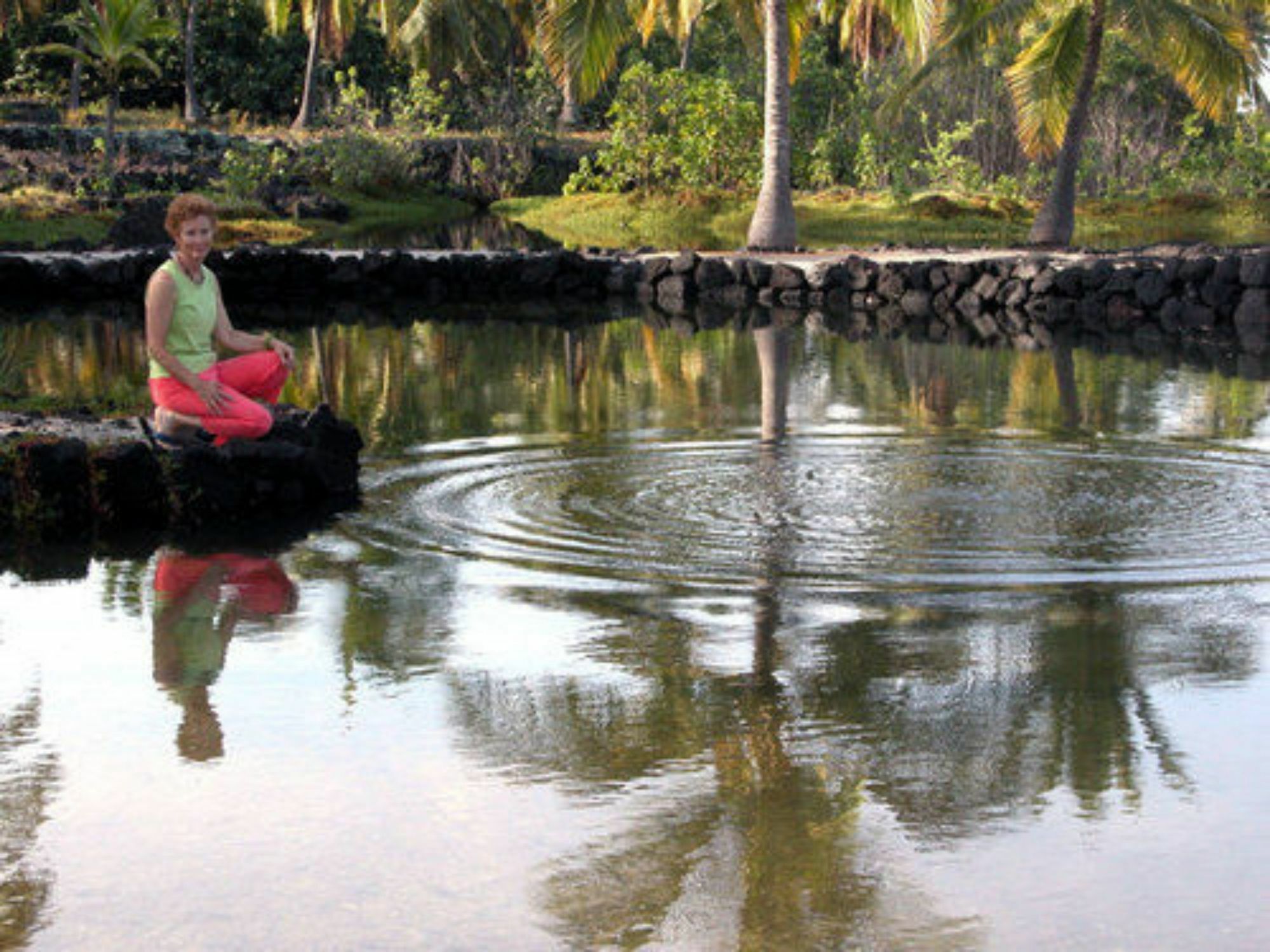 Готель Dragonfly Ranch Bed & Breakfast & Eco-Spa Honaunau-Napoopo Екстер'єр фото